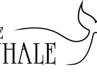 The Whale